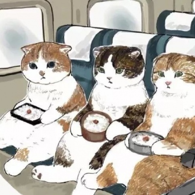 向出轨丈夫道歉后续：丑事已传到国外