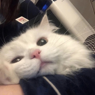 向出轨丈夫道歉后续：丑事已传到国外